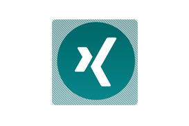 Xing Logo Rules Xing Developer